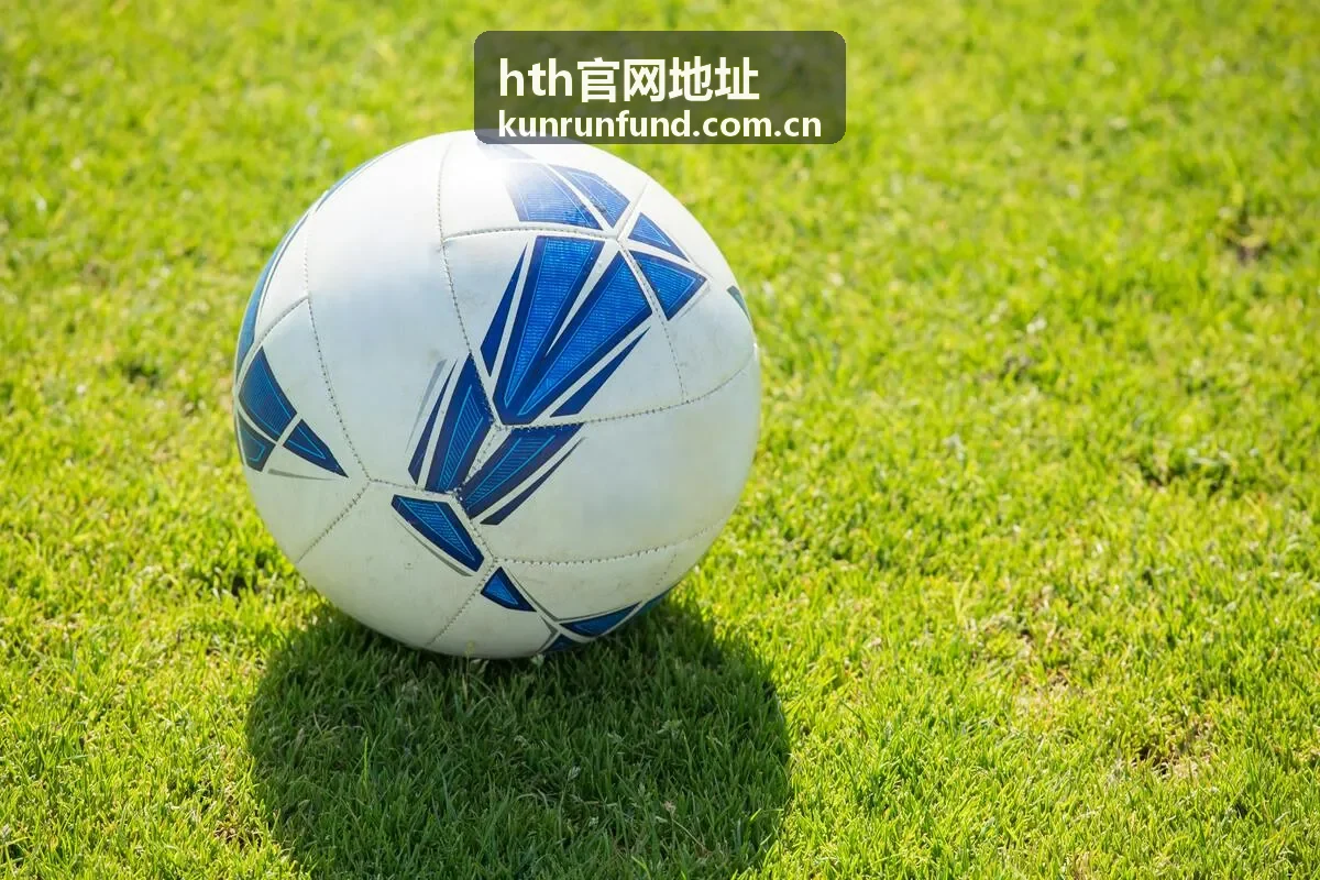 hth官网地址保存为浏览器书签后的直达访问示意